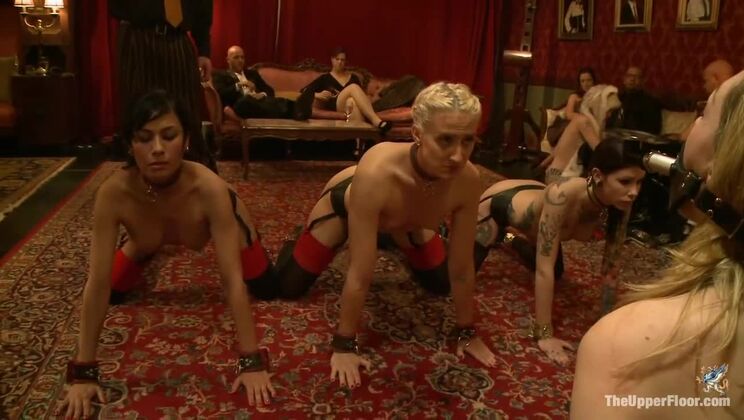 Labeau, James, and Kaos Get Owned