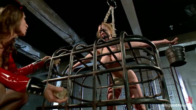 Ariel Carmine Takes Control: Dee Williams in Lesbian BDSM