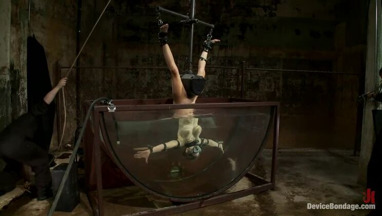 Big Tits, BDSM, and Sybian Toys