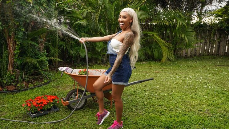 Shaved Pussy Pounded in the Garden